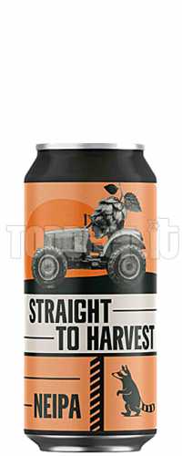 Wild Raccoon Straight To Harvest Lattina 44Cl